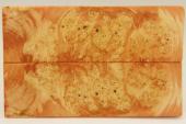 Plaquettes pour la coutellerie, Loupe d'Erable Ngundo stabilise orange, ref:PLpErs55123o